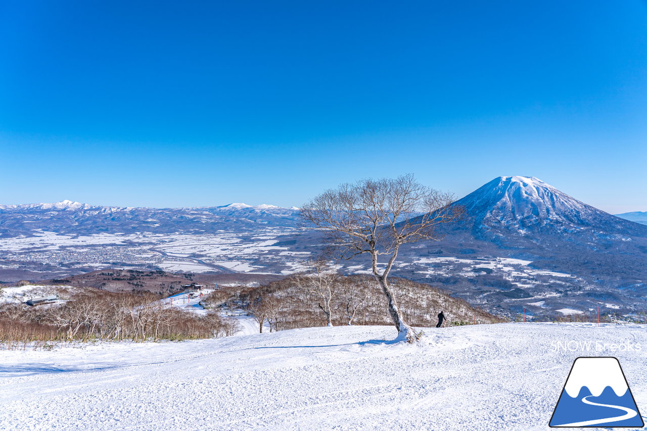 ニセコ東急グラン・ヒラフ｜標高1,000ｍの別世界。最高の青空に恵まれて、羊蹄山も丸見え、感動級の大パノラマ！